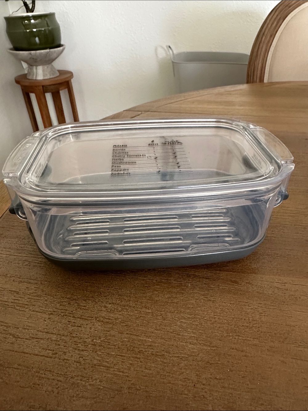 🍓🫐 Produce ProKeeper Stay Fresh Container with Gray Base by Progressive